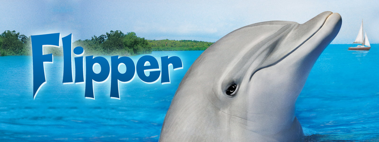 Image result for Flipper